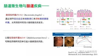 王高學(xué) 腸道微生物與動物健康——水產(chǎn)微生態(tài)制劑研究應(yīng)用現(xiàn)狀與趨勢丨2019水產(chǎn)動保配方師大會報告①